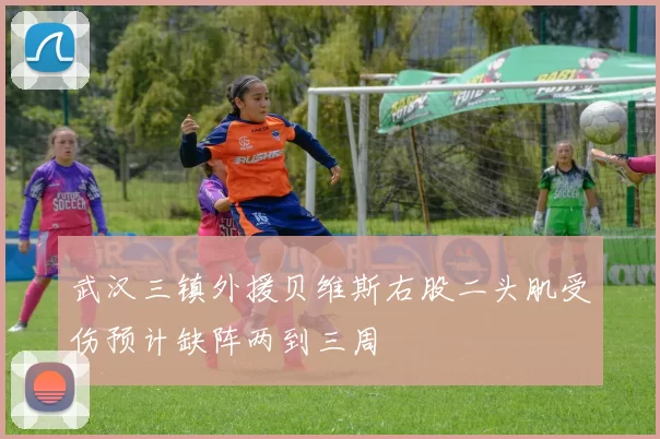 武汉三镇外援贝维斯右股二头肌受伤预计缺阵两到三周
